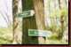 Verantwortlich f�r die Bilder: Thomas M�hr